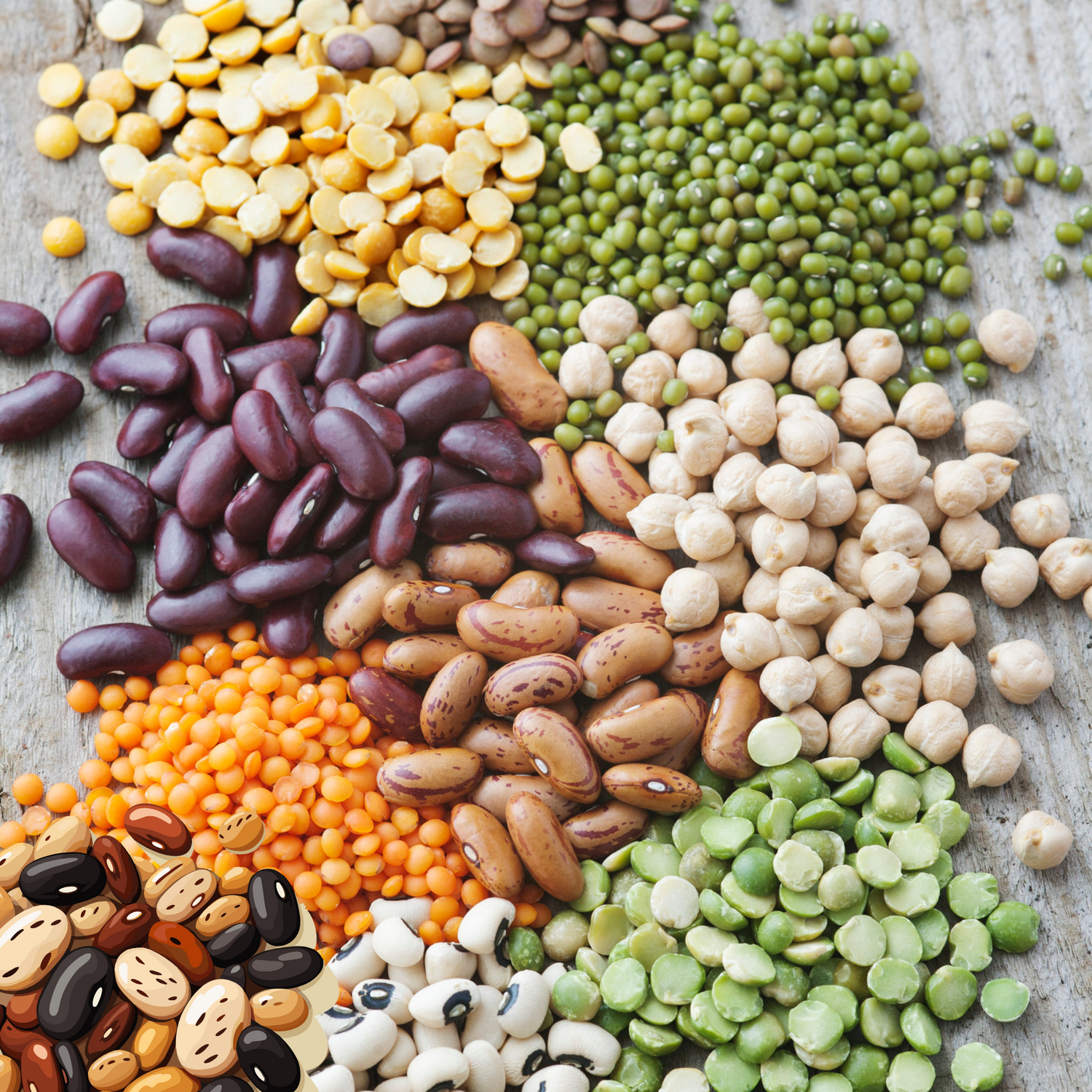 Beans & pulses